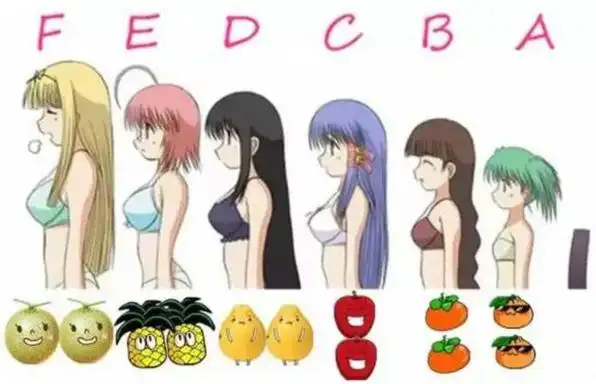 内衣80b和85b的区别是什么内衣80b和85b有区别吗图