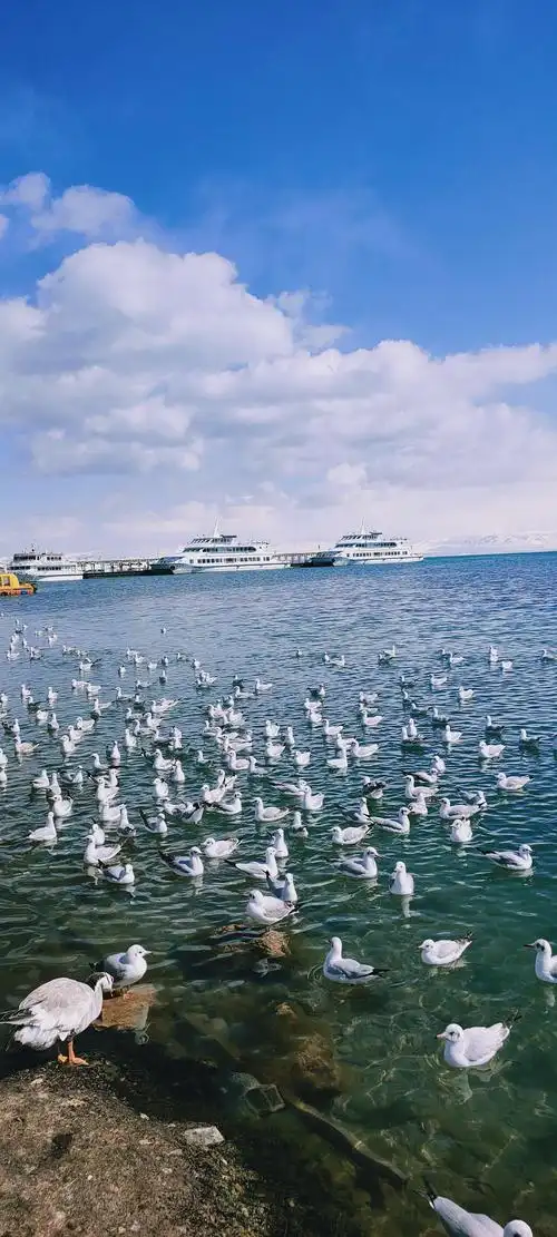双杨双湖旅游之五……青海的茶卡盐湖,青海湖二郎钊景区.