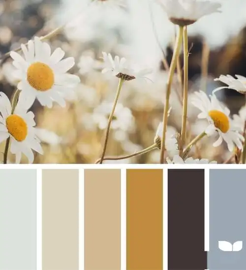 灵感面板|教你从大自然提取颜色!_色彩