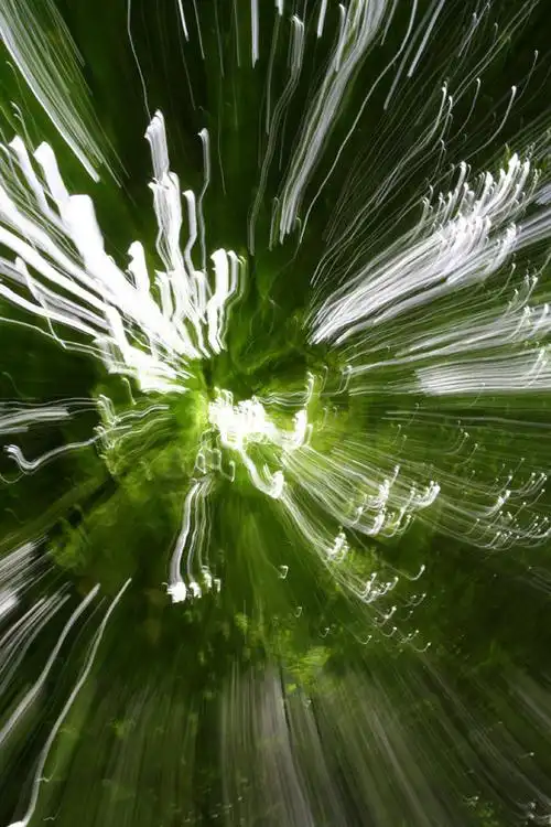 更新大图:一组变焦体验作品