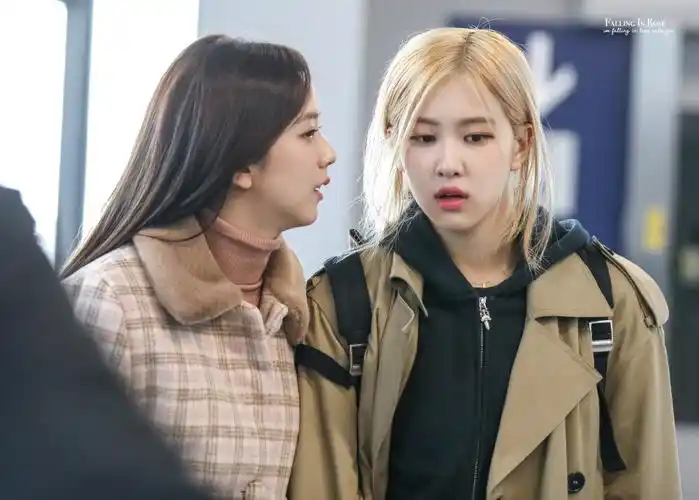 朴彩英jisoo 注明falling_inrose,不标别改