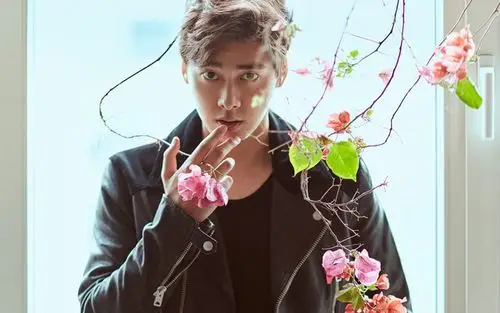 李易峰时尚帅气写真壁纸帅气男神李易峰