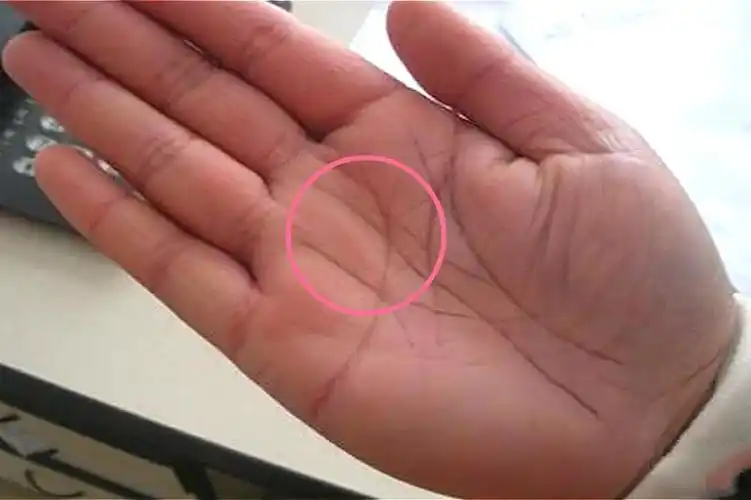 掌纹看子女:女人手掌上有这3种纹路,子女易成才,晚年能享子女福