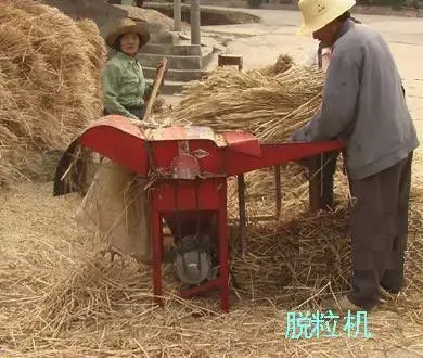 哪有卖新型小麦脱粒机小麦脱粒干净打粒机的