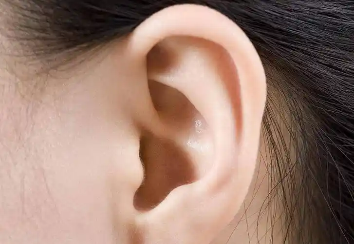 耳朵不同命不同?"穷人耳""富人耳"有啥不同?