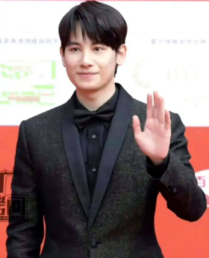 胡先煦的红毯造型中,他的面部凸显出明显的发腮问题.