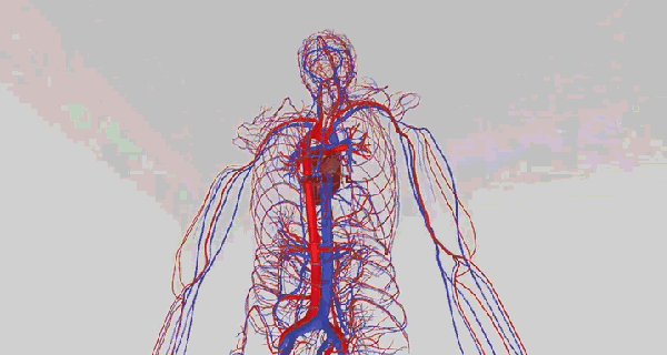 可以 将3d模型任意缩小及旋转 更好的空间展示关系 可视化的解剖结构