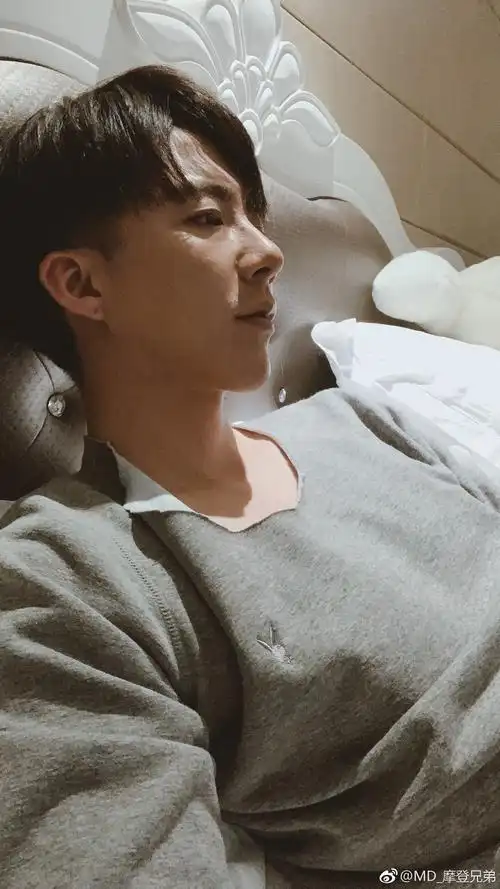 摩登兄弟刘宇宁 宁哥 租界少年热血舞团 卫…-堆糖,美好生活研究所