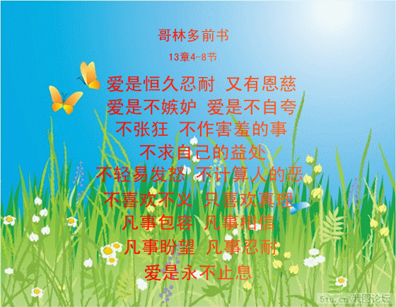 圣经经文图片:爱是恒久忍耐 - 福音之歌原创歌曲的近况 - 5sing中国