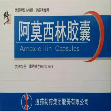 修正 阿莫西林胶囊 40粒