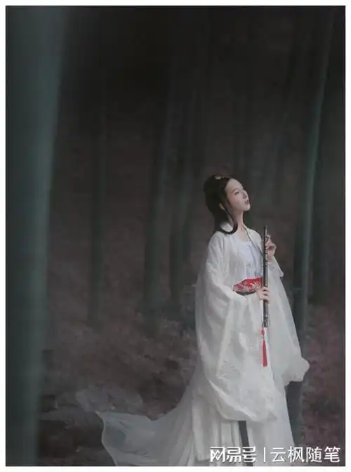 女婿:你敢埋,我就敢刨|陈伟|相亲|老狗|外乡人|我们一家人_网易订阅