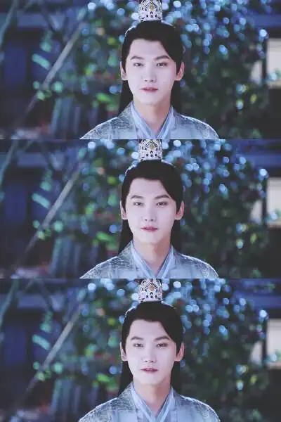 双世宠妃2邢昭林图片