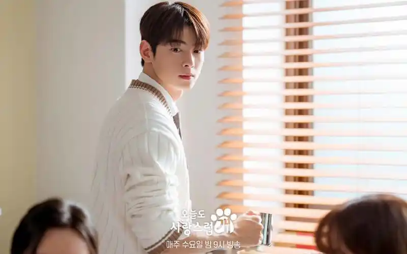 车银优韩剧《今天也很可爱的狗》第九集预告