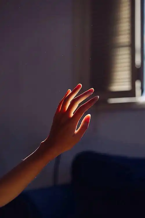 诚信伴我行-讲诚信作文600字