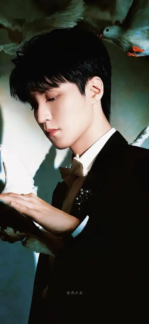 神性的浪漫9415    王俊凯壁纸#王俊凯和鸽子合照