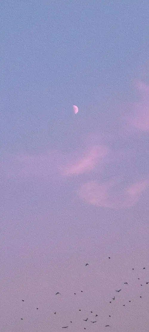 分享自制月亮壁纸