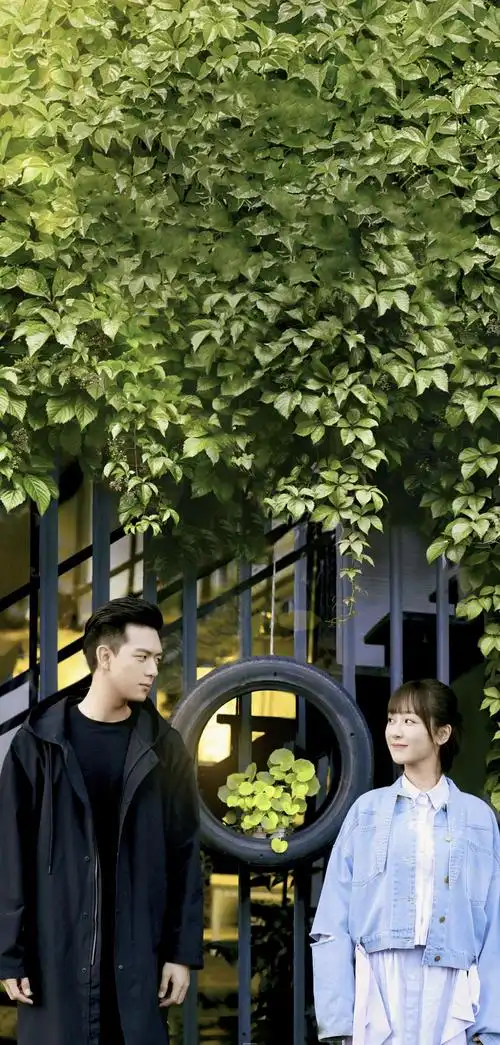 壁纸分享 | 亲爱的 热爱的