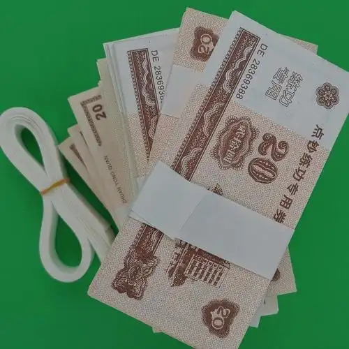 人民币纸币票样小学钞模具练功点钞仿学习币教学样币钱币道具【严选好