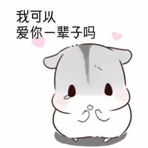 我可以爱你一辈子吗?