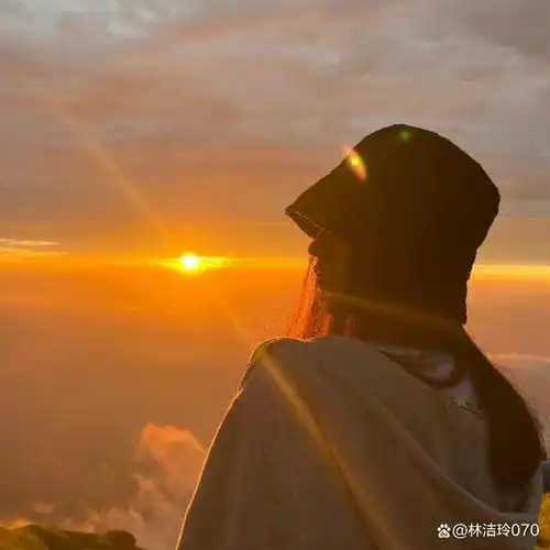 我也不想单身的