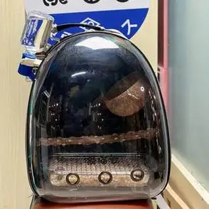 龙猫谷特有产品 外带书包遛弯外出短途旅游方便携带 长方形套装 - 宠