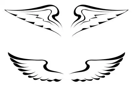 在白色背景上的黑色纹身翅膀照片