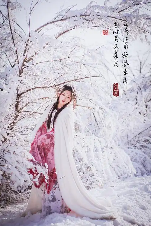 北方有佳人 绝世而独立