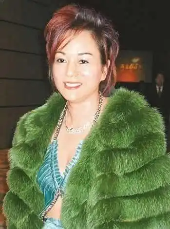 毛玉萍,周正毅,富豪,刘嘉玲,关之琳