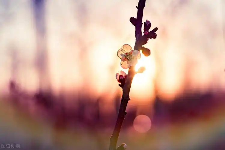 超级有质感的10句ins风高级中英文文案