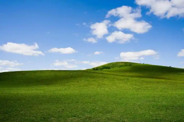 草原上的蓝天白云,高清图片,壁纸,自然风景-桌面城市