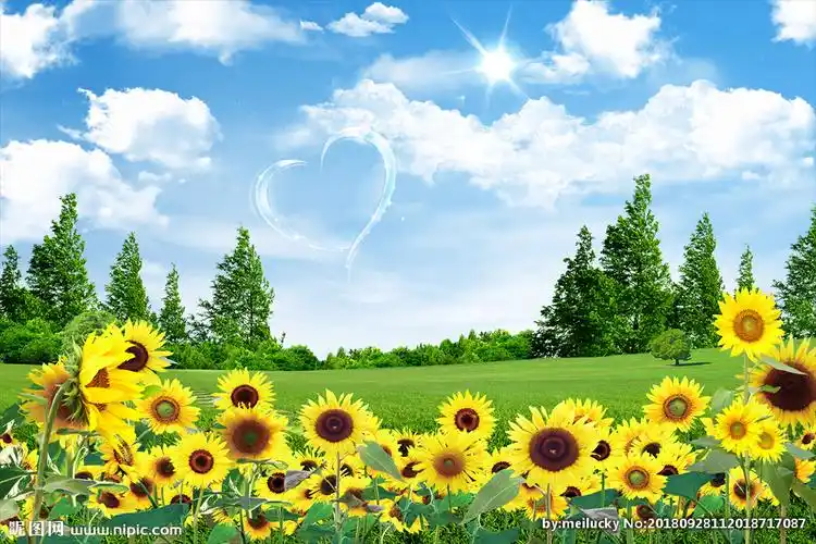 草地风景画设计图__图片素材_其他_设计图库_昵图网nipic.com