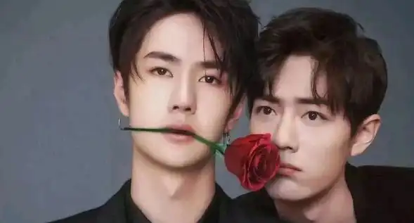 q5:肖战王一博火了之后,为什么会发生手机号泄露的事情?