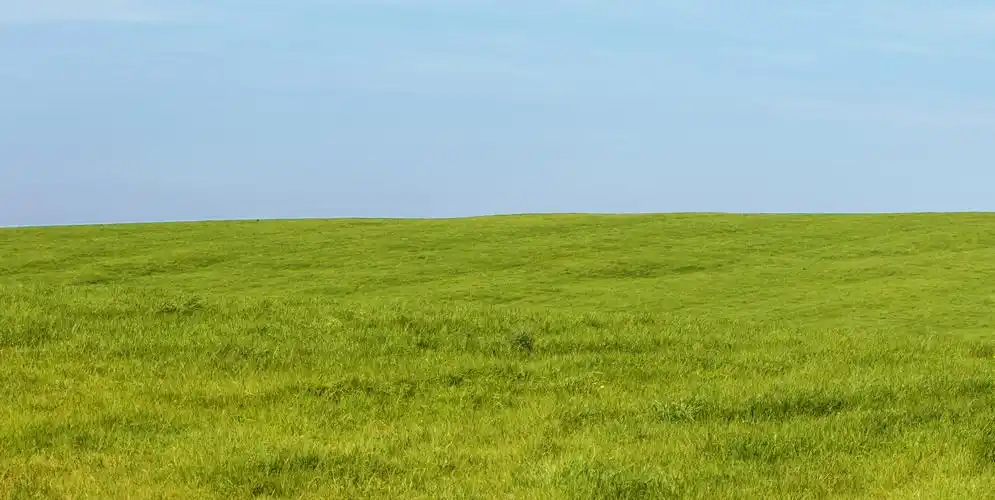 夏日草地风景图片 - 第1张