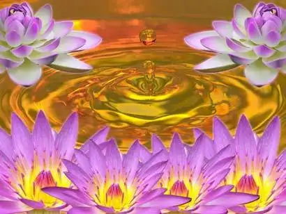 假使众生欲心都尽,必同极乐世界莲花化生.(图片来源:资料图片)