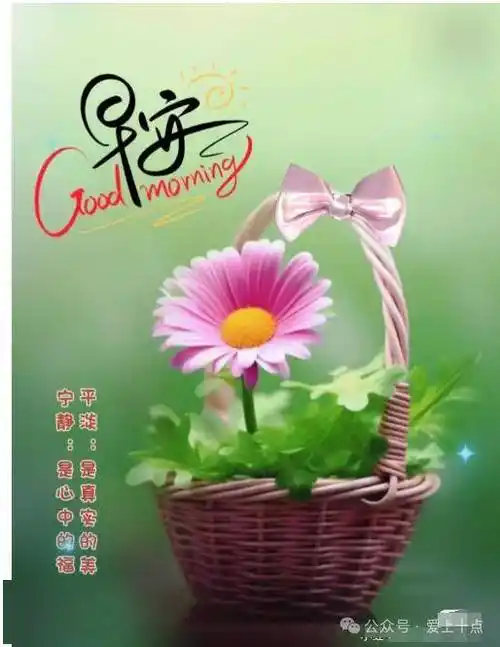 今日最新早上好表情图片大全,平安健康,万事如意!_生活_生机_树木