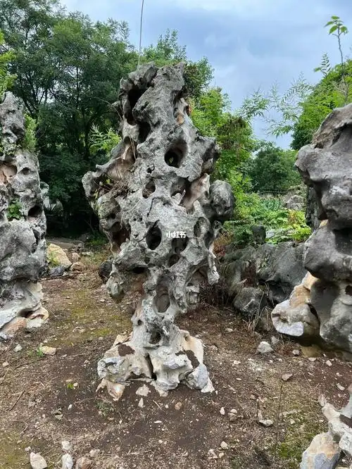 老皮太湖石造景必备