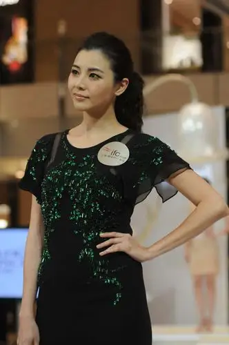 郑伊健70后妻子真漂亮,穿镶"绿"水晶的黑礼服裙,美得好优雅