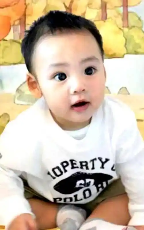 还记得最美港姐李嘉欣和许晋亨的儿子吗?