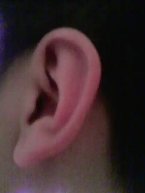 这是那种类型的耳朵?好看吗?