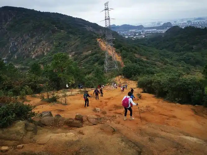 1211上海出发灵树线61浙江一日徒步
