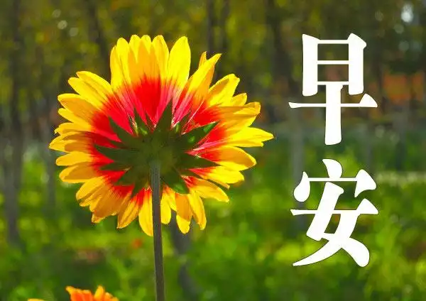 2019新版早安问候语励志最美的早上好漂亮图片带字