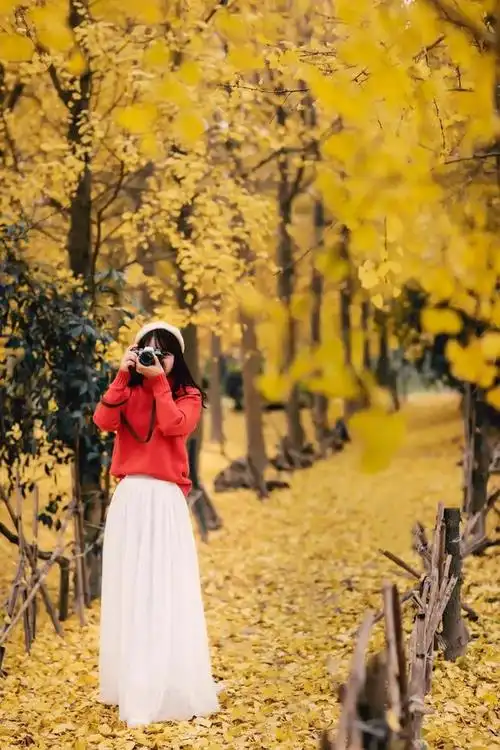 建议给女性朋友这样拍风景人像照自然简约优雅美美哒