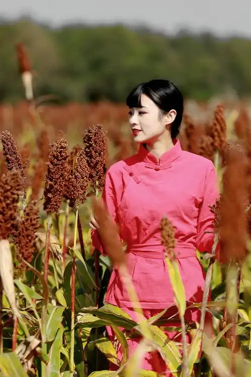 九儿我送你去远方