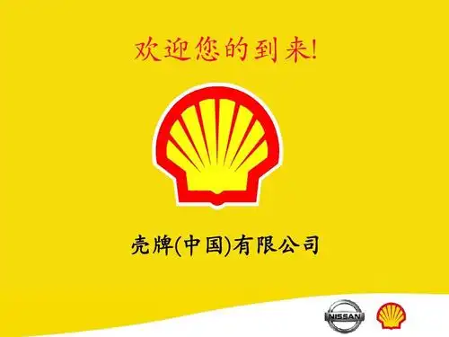 壳牌(中国)有限公司