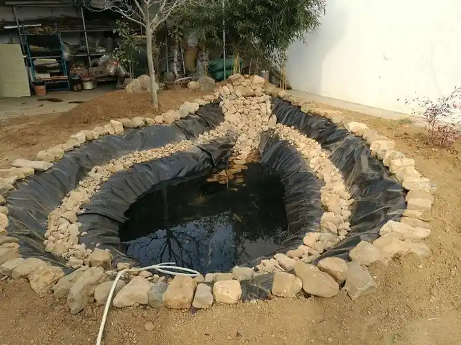 院子里终于有了个池塘