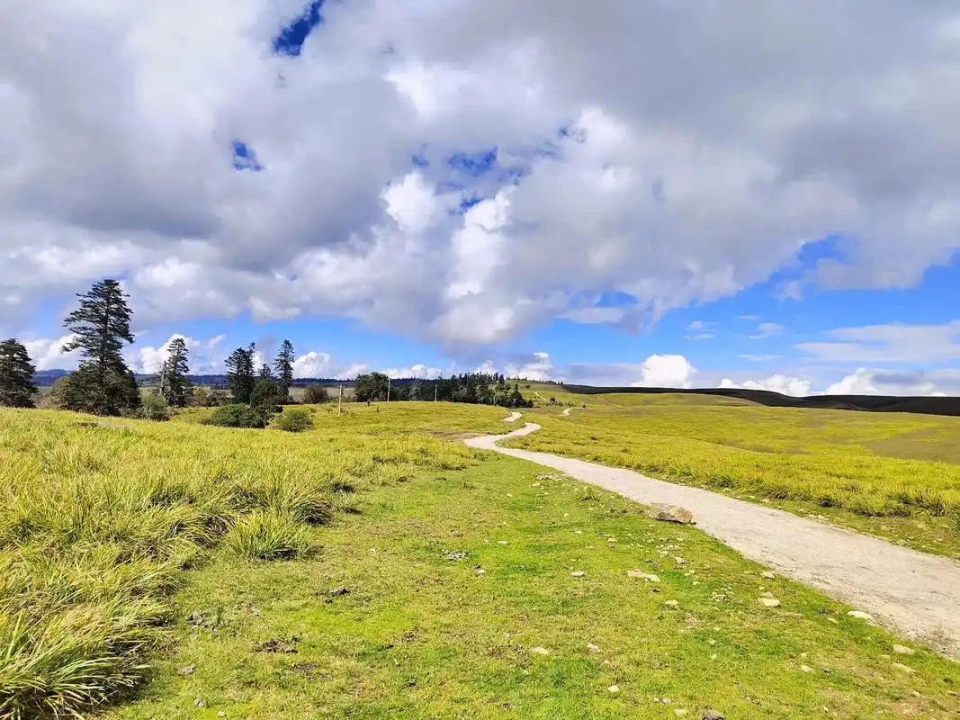 秋天的格拉丹像一幅幅小说里的油画#治愈系风景 #高山草原 # - 抖音