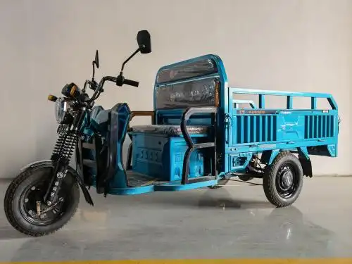 fad1000dzh 福安达牌纯电动前鼓式后鼓式电动正三轮摩托车