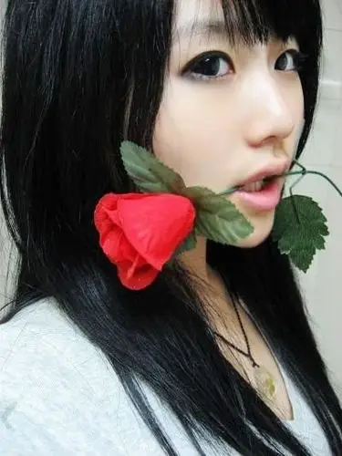 我想找这个头像的大图,女的叼着一枝红玫瑰