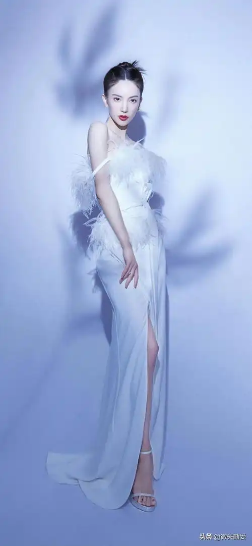 演员金晨个人资料简介(是不是你了解的她) | 人物集