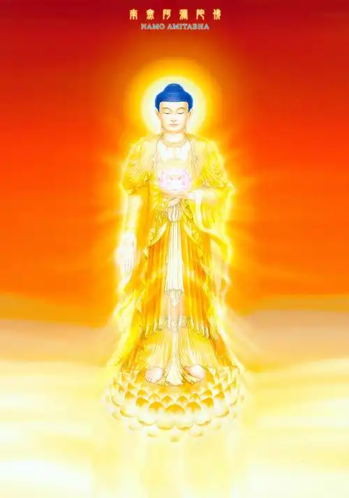 清水阁: 顶礼了幻法师.  南无阿弥陀佛!